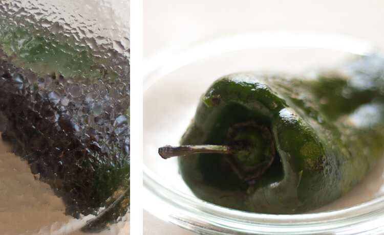 roasted pablano pepper roasted pablano pepper