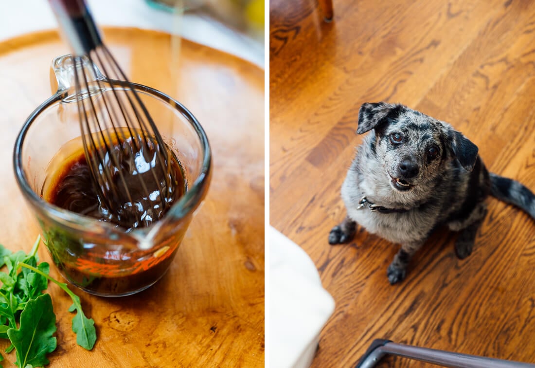balsamic vinaigrette and dog